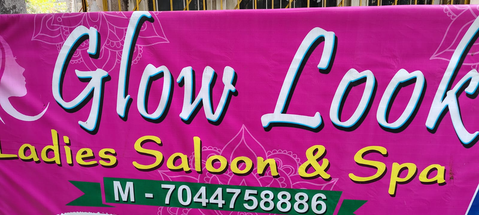 Professional  service